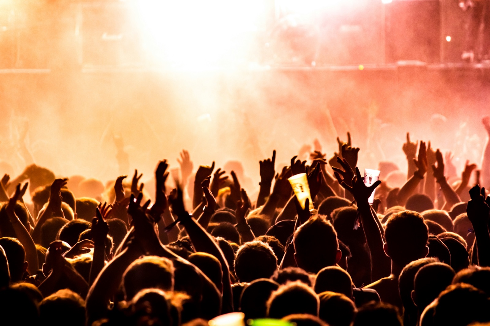 Crowd at a live event